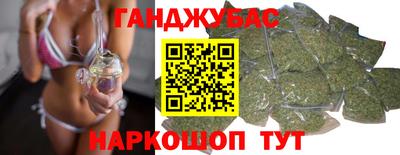 сатива Будённовск