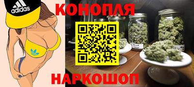 сатива Будённовск